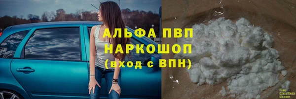 ешки Новозыбков