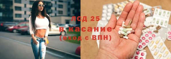 ешки Новозыбков