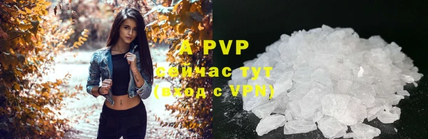 ешки Новозыбков